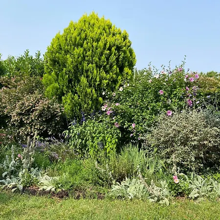 Sweet - 55m2 Appt, Garden, Swimming Pool, Parking * טולוז